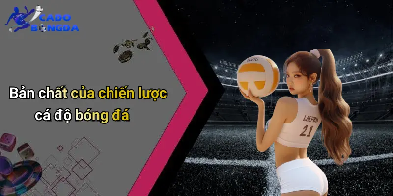 Chiến Lược Cá Độ Bóng Đá
