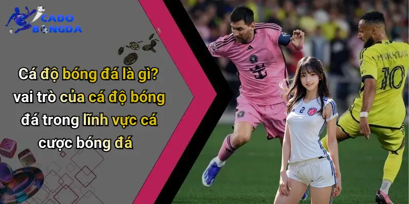Cá Độ Bóng Đá