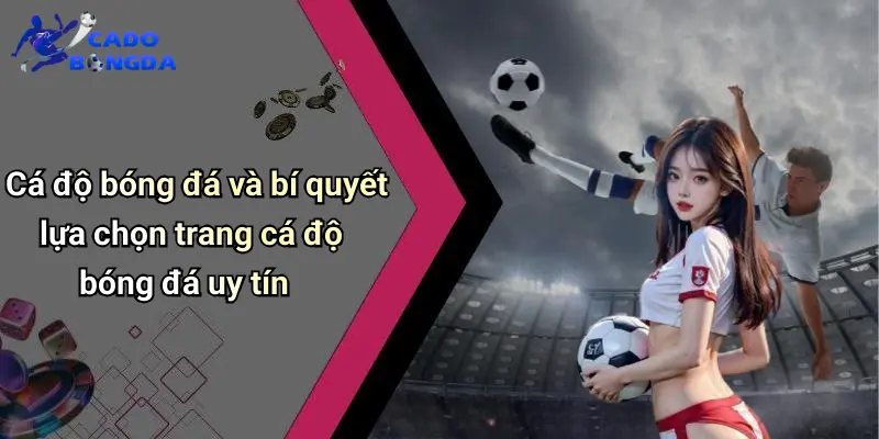 Cá Độ Bóng Đá