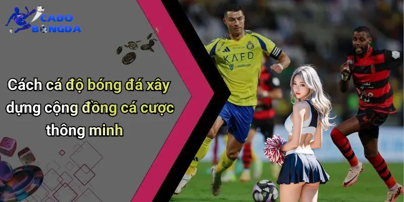 Cá Độ Bóng Đá