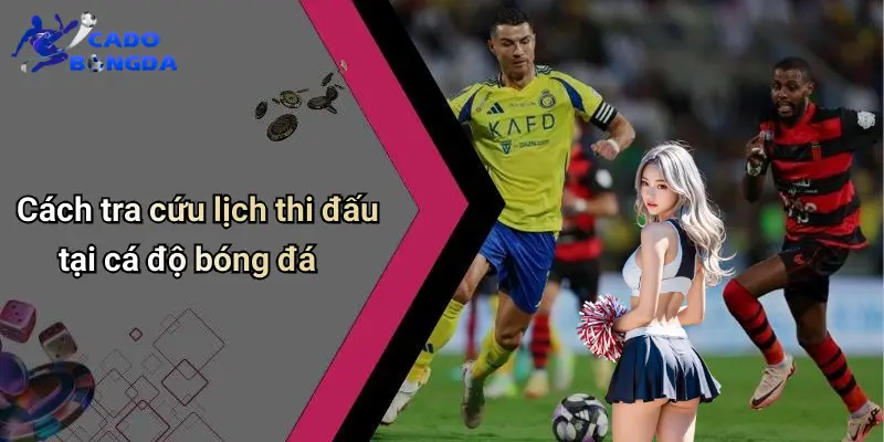 Lịch Thi Đấu
