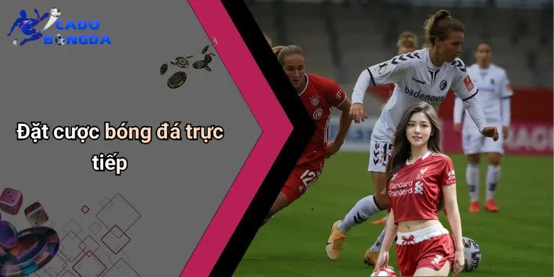 Cá Độ Bóng Đá