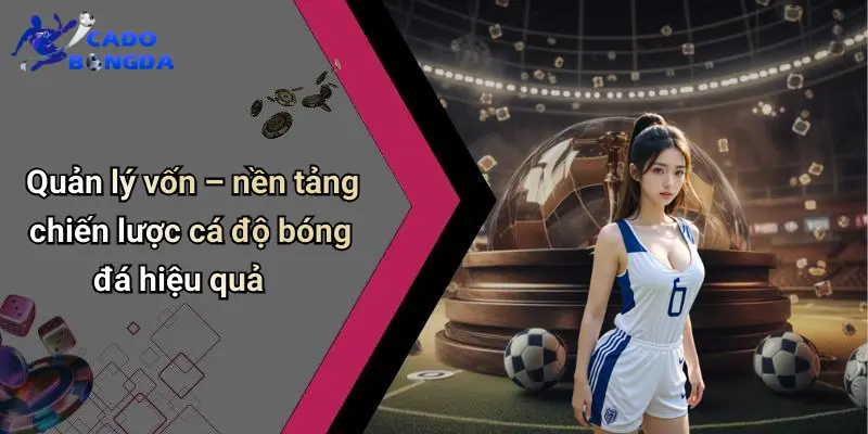 Chiến Lược Cá Độ Bóng Đá