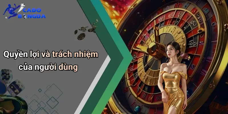 Điều Khoản Điều Kiện