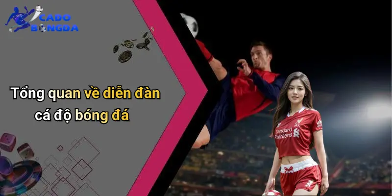 Giới Thiệu