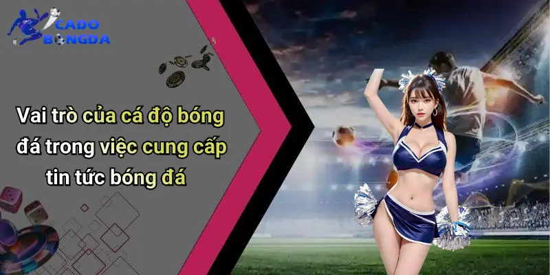 Tin Tức Bóng Đá