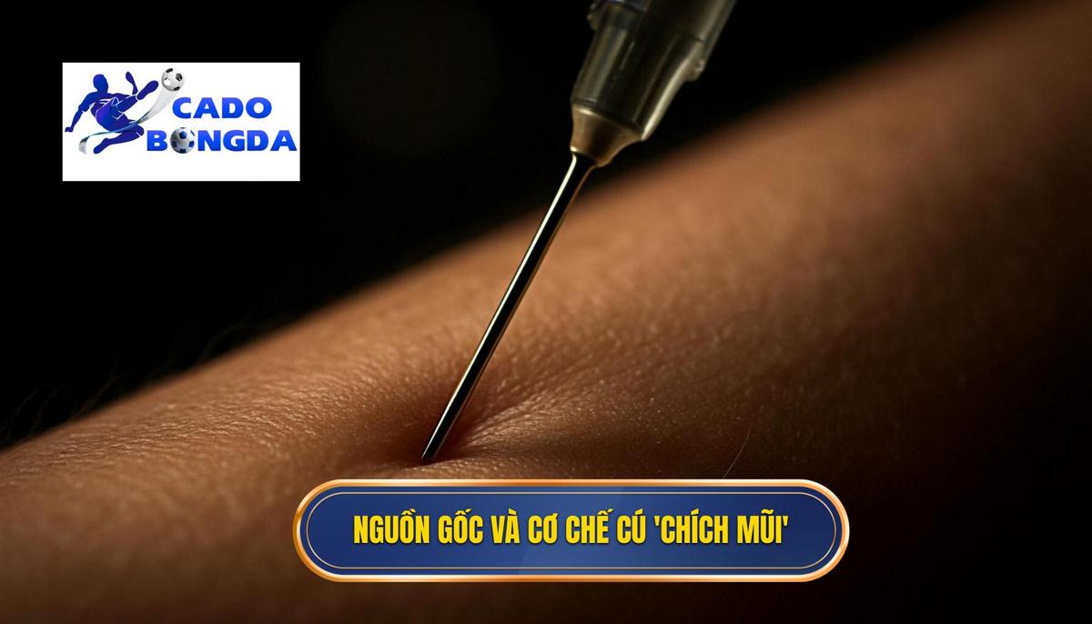 Nguồn gốc và Cơ chế vật lý của cú _Chích Mũi Giày_