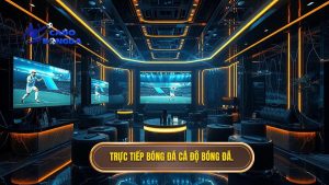 Trực tiếp bóng đá CÁ ĐỘ BÓNG ĐÁ.