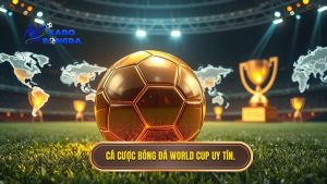 những sai lầm thường gặp khi cá cược bóng đá