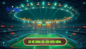 Kèo bắt đầu biến động mạnh: Cách nhận biết và chiến thuật đối phó từ chuyên gia